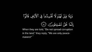 surah al baqarah ayat 120 peaceful recitation with meaning in English [upl. by Htebyram]