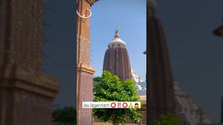 jayjagannath jagannathpuriodisha mahabahuodiabhajanashort [upl. by Akinuahs]