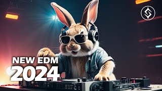 New EDM Music 2024  Dancing in the Lights [upl. by Eiuqcaj]