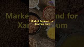 Manufacturing Business of Xanthan Gum PART 1 [upl. by Ynafit]