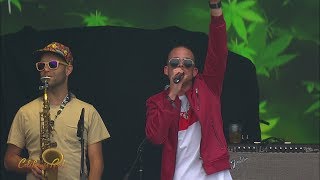 Collie Buddz quotCome Aroundquot Live  California Roots 2017 [upl. by Aicetal948]