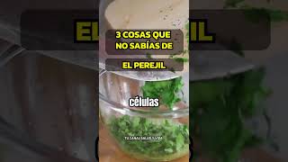 3 RAZONES PARA INCLUIR PEREJIL FRESCO EN TU DIETA alimentossaludables perejil alimentosaludable [upl. by Kadner]