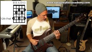 Major 7 Chord Tones and Tensions Free Bass Lesson 4 [upl. by Hamil]