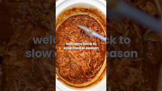 Out of this world pulled pork 🛸 actuallydelicious pulledpork slowcooker dinnerideas recipe [upl. by Remark]