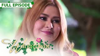 ENG SUB Ep 115  Wildflower  Maja Salvador Tirso Cruz III Aiko Melendez [upl. by Brittni]