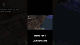 Home For 6 Chihuahua inc Home Making time ep 3 Fancy engineeringengineering minecraft [upl. by Shaeffer]