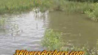 3Rivers Archery Bowfishing DVD [upl. by Westberg]