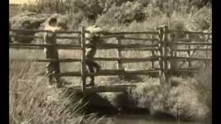 Video Butteri dAlta Maremma parte 1wmv [upl. by Brasca]