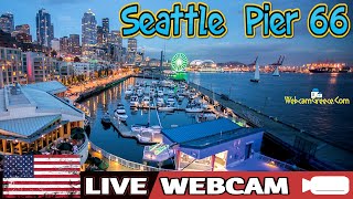 🔴🅻🅸🆅🅴🔴⚓Seattle Pier 66 🚢 Alaskan Way ➡ Washington 📸 Elliot Bay [upl. by Arnelle541]