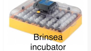 Brinsea incubator review Hatching eggs made easy [upl. by Wieren]