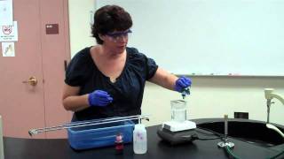 How to Perform an Endospore Stain [upl. by Lukas]