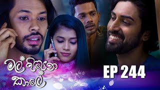 Mal Pipena Kale  Episode 244 09th September 2022 [upl. by Atteynad]