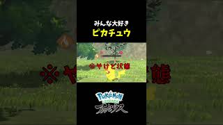 『Pokémon LEGENDS アルセウス』みんな大好きピカチュウ！！ shorts [upl. by Lucille]