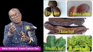 5 Elemental Mystical Herbs For Total Protection – Nana Ayebiafo Jnana Caksus Das [upl. by Fredra789]