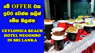 Negombo Hotels In Sri Lanka  Ceylonica Beach Hotel Negombo In Sri Lanka [upl. by Delmore]