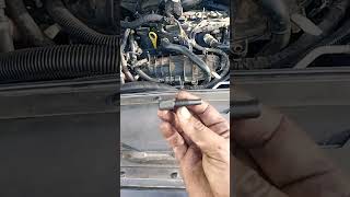 2013 ecoboost 16 timing belt and water pump replacement [upl. by Blanchette359]