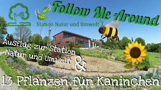 Station Natur und Umwelt amp 13 Pflanzen für Kaninchen  Follow Me Around [upl. by Anale233]