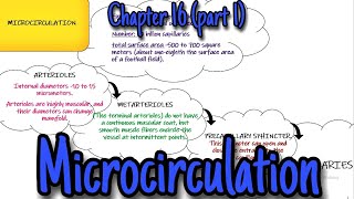 Microcirculation Chapter 16 part 1 Guyton and Hall Physiology [upl. by Oahc]