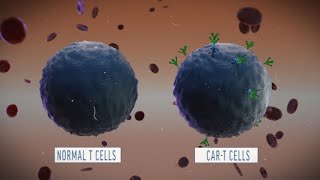 A Look at How CART Cell Therapy Works [upl. by Enelaehs]