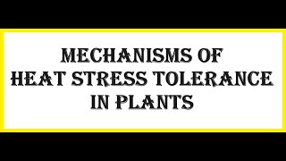 Mechanisms of Heat Stress Tolerance in Plants [upl. by Tavey]