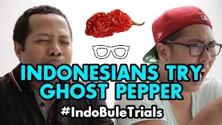 IndoBuleTrials Indonesians Try Ghost PepperBhut Jolokia [upl. by Brier230]