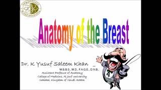 Anatomy of the BREAST  MAMMARY GLAND  Dr Yusuf [upl. by Nojram]