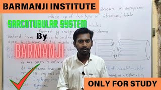 Sarcotubular system  structure  function  T tubules  L tubules [upl. by Karisa]