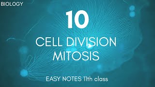 class 11th BIOLOGY chapter 10 cell division  MITOSIS  clear notes science biology notes new [upl. by Atteiluj7]