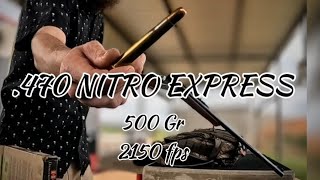 First time shooting a 470 Nitro Express [upl. by Eusoj]