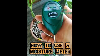 How to use a moisture meter [upl. by Norad]