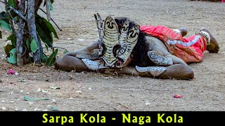 SARPA KOLA MANJESHWAR  ಸರ್ಪ ಕೋಲ ಮಂಜೇಶ್ವರ [upl. by Lita]