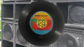 Bunny Wailer  Dreamland  Version [upl. by Ibrek919]