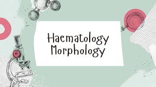 Haematology Morphology  Case 3 [upl. by Ten]