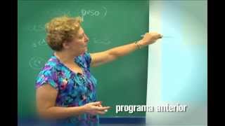 Cursos USP Oceanografia Sistema Bentônico  parte 3 [upl. by Frame951]