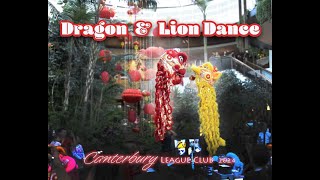 SPECTACULAR DRAGON amp LION DANCE 2024  Canterbury League Club  Sydney Australia [upl. by Shellans]