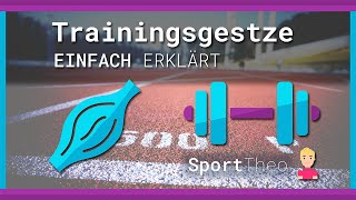 Trainingsgesetze einfach erklärt  Sporttheode [upl. by Htaras]