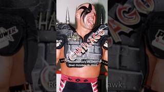 Road Warrior Hawk Was A Great Tag Team Wrestler🕊️roadwarrior wwe fy shorts wrestling tribute [upl. by Llevram]