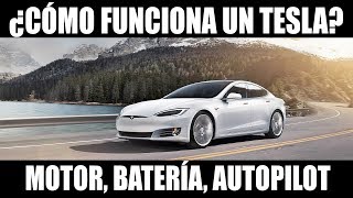 ¿Cómo funciona un Tesla Motor batería Autopilot todo lo que necesitas saber [upl. by Ellora]