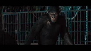 Le Royaume de la Planète des Singes  Bande Annonce Officielle [upl. by Morez609]