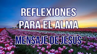 REFLEXIONES PARA EL ALMA  MENSAJE DE JESÚS [upl. by Nallad]