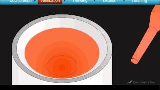 Cryotop Oocyte Vitrification Animation [upl. by Lapo]