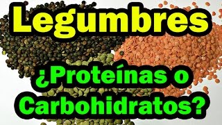 LEGUMBRES ¿Proteínas o Carbohidratos [upl. by Azpurua]