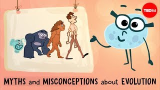 Myths and misconceptions about evolution  Alex Gendler [upl. by Reagan]