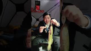 Overnight Ice Fishing Burbot  A Christmas Miracle [upl. by Jehovah]