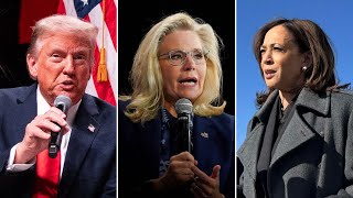 Donald Trump threatens Liz Cheney with guns comment Kamala Harris reaction to violent rhetoric [upl. by Aritak]