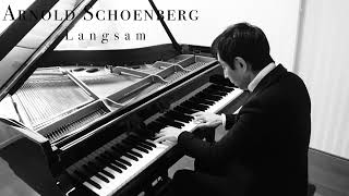 Schoenberg Sechs Kleine Klavierstücke Op19 No2 Langsam  Satoru Takishima [upl. by Solahcin]