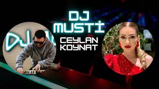 Bir gülüşün bile yeterdi bana roman havası ritim 2022 Dj Musti Feat Ceylan Koynat [upl. by Ferri]