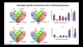 Comparative Genomic Analysis in Sorghum Highlights the Extent of Structural Variations [upl. by Hcra]