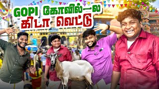 நாங்களே சுட்டு சாப்பிட்ட சுவரொட்டி  GOSU Vlogs [upl. by Suehtomit]