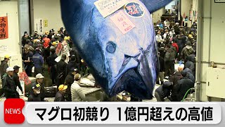 東京・豊洲市場でマグロの初競り 1億円超えの高値（2024年1月5日） [upl. by Ecinhoj361]